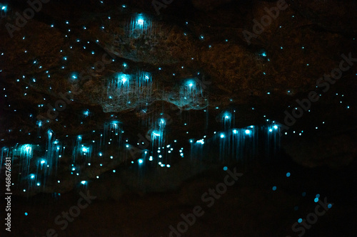 Glow worms in the Okupata cave, New Zealand