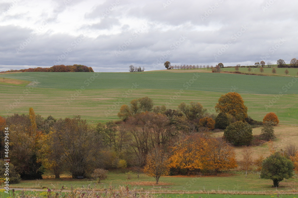 Fototapeta premium Herbstlandschaft im Hunsrück. Herbstlicht.