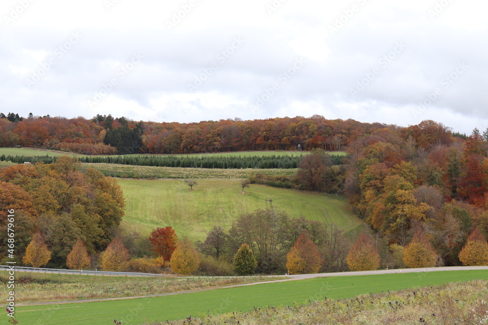 Fototapeta premium Herbstlandschaft im Hunsrück. Herbstlicht.