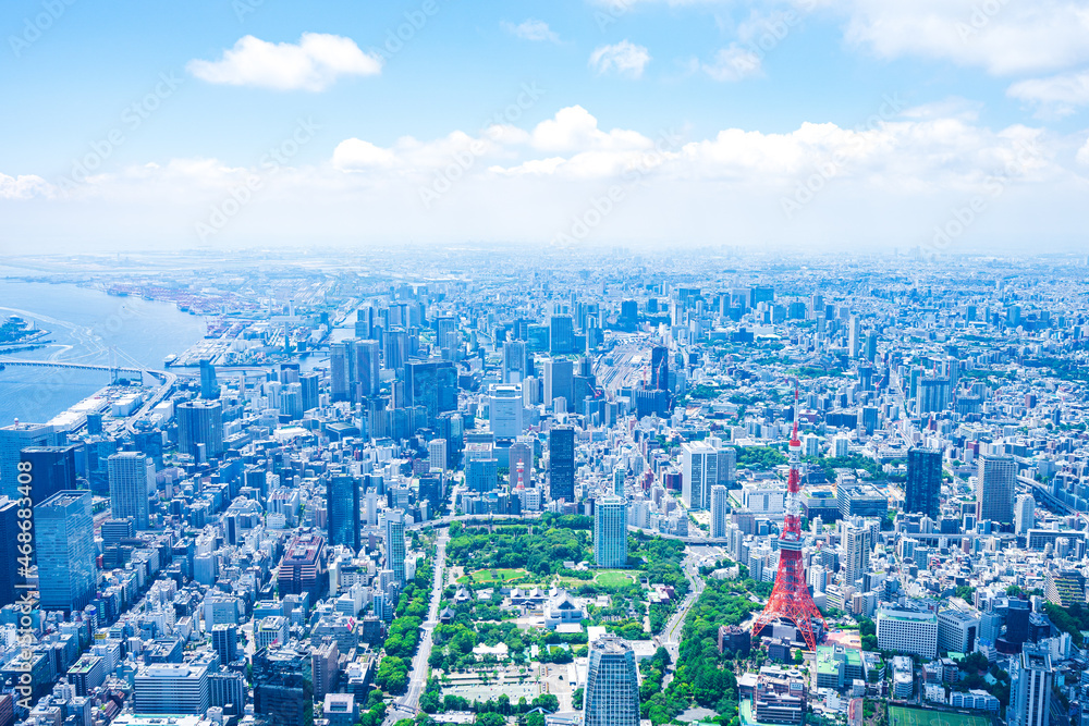 Fototapeta premium 東京タワー・空撮写真