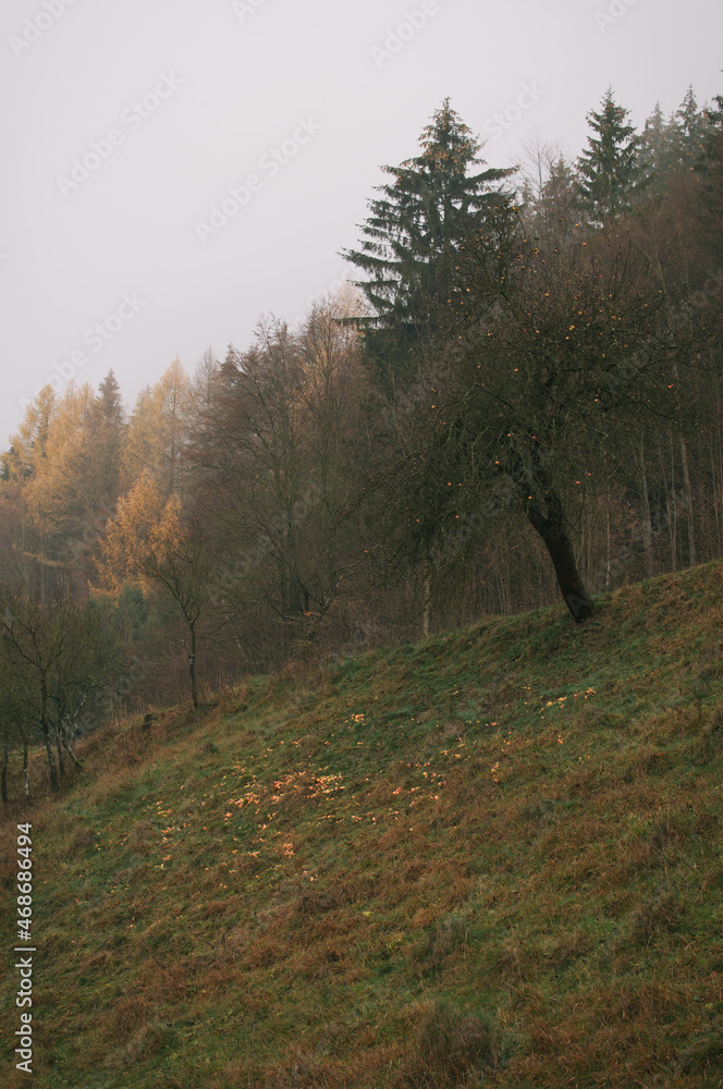 Hiking in Beskydy and Javorniky mountains, full autumn mood Hiking in Beskydy and Javorniky mountains, full autumn mood