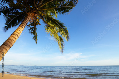 Fototapeta Naklejka Na Ścianę i Meble -  Beautiful scenic view of tropical beach with palm or coconut tree showing texture of its leaves, blue sky, sea wave shows paradise vacation for holiday tourist seeing sunset with natural seascape.