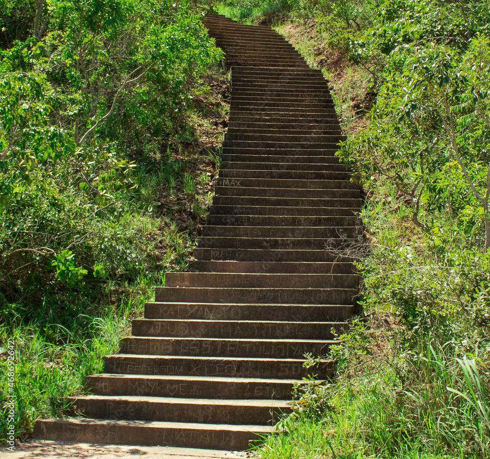 stairway to heaven with various plants around stairway to heaven with various plants around