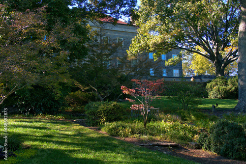 Fall colors on the landscape