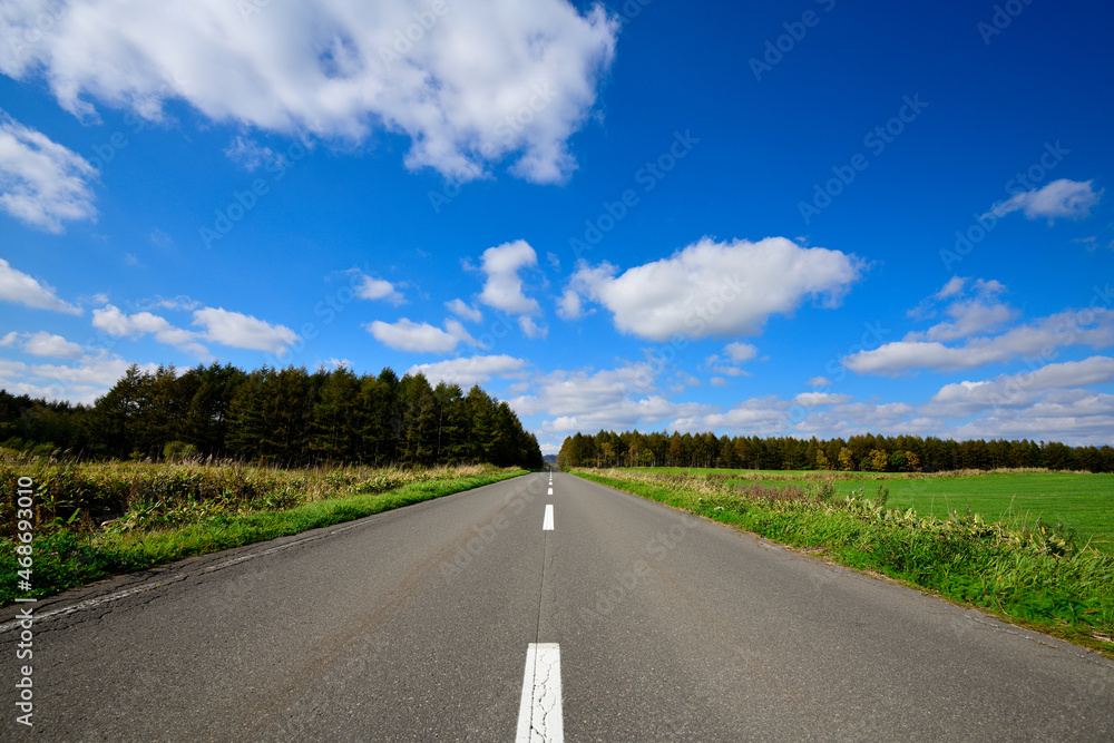 Fototapeta premium まっすぐな道