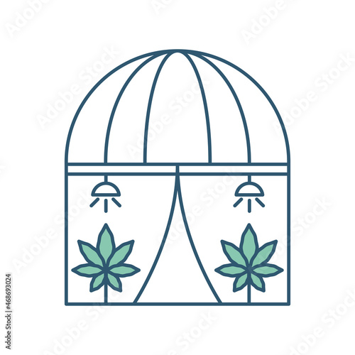 cannabis field growing