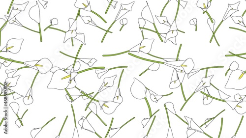 White calla lily flowers on white background. Toon style 3D illustration for background. 