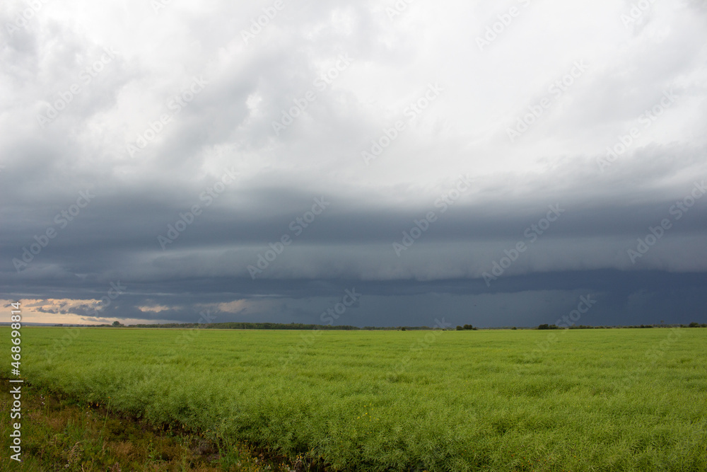 Stormy Weather