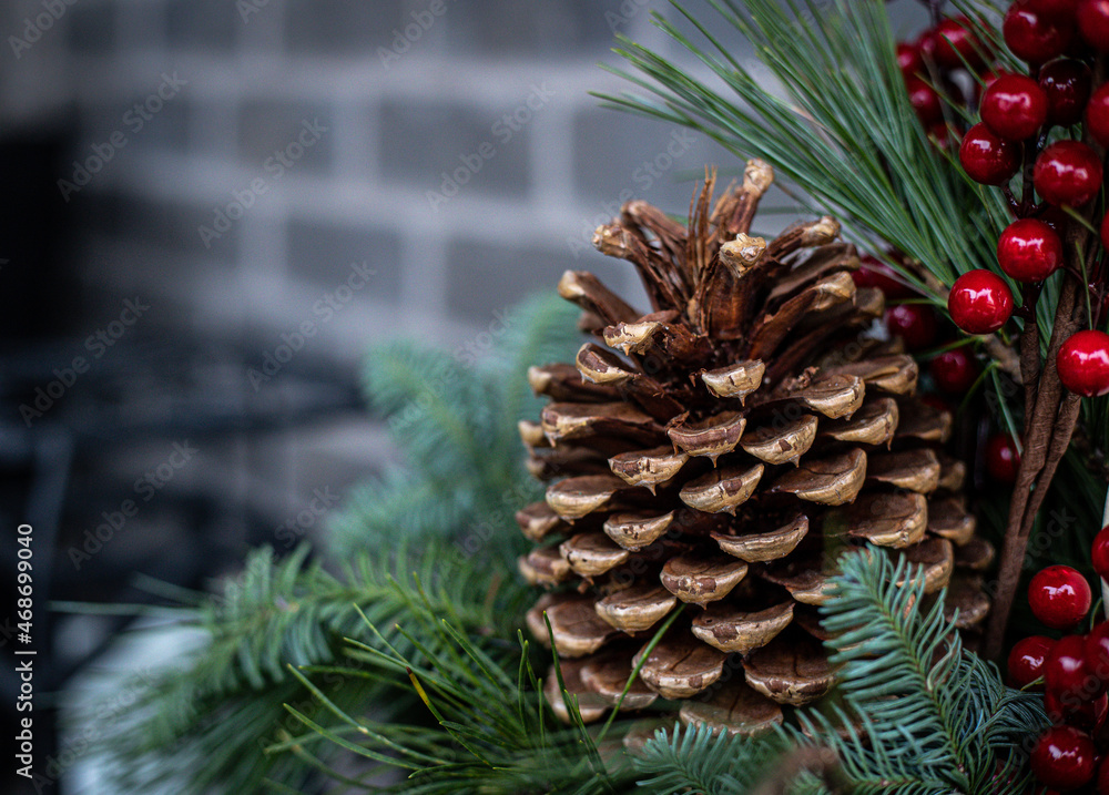 Fototapeta premium Pine Cone Decor
