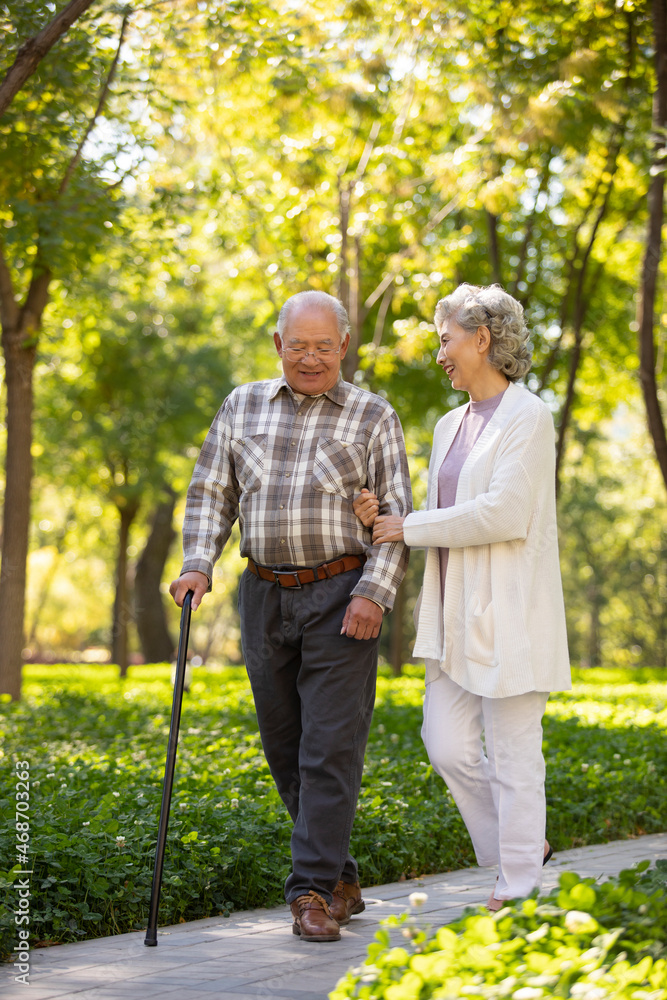 Cheerful senior couple walking in the park Cheerful senior couple walking in the park