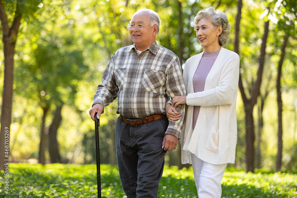 Cheerful senior couple walking in the park Cheerful senior couple walking in the park