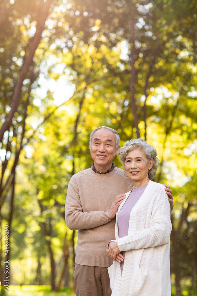 Cheerful senior couple dating in the park Cheerful senior couple dating in the park