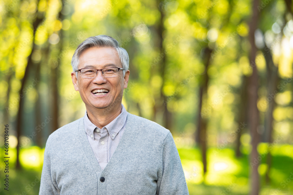 Portrait of cheerful senior man Portrait of cheerful senior man