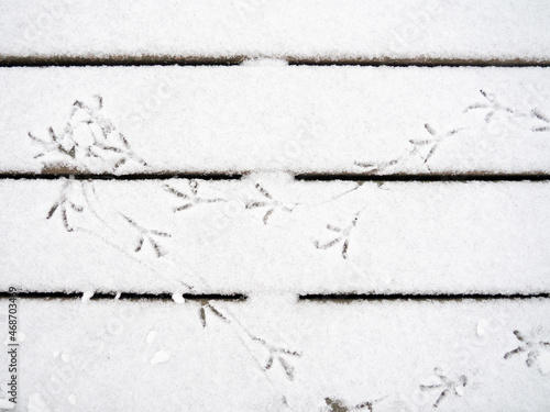 bird tracks in the snow. A pattern of footprints.