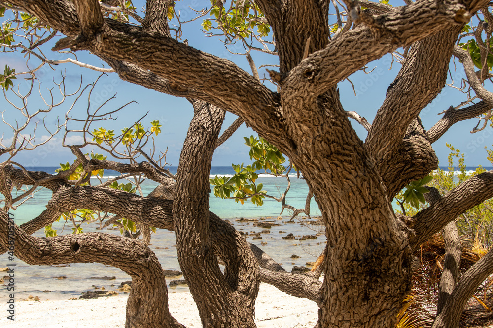 Fototapeta premium Cadre naturel perdu