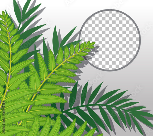 Nature plants frame transparent background
