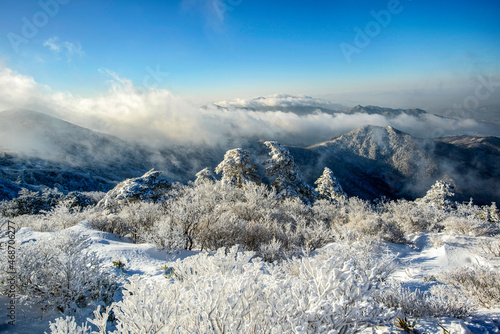 Wallpaper Mural 겨울눈꽃,운해가 있는 환상의 산풍경 Torontodigital.ca