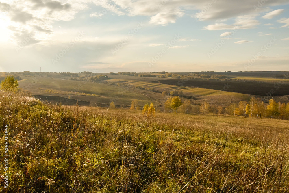 Obraz premium sunset over the field