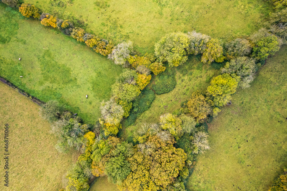 Top Down view of Autumn Colors over Somerset fields from a drone, England, Europe Top Down view of Autumn Colors over Somerset fields from a drone, England, Europe