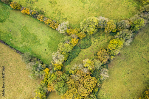 Top Down view of Autumn Colors over Somerset fields from a drone, England, Europe