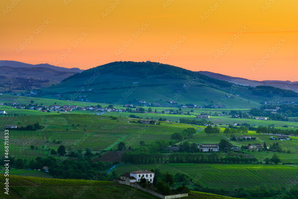 Brouilly hill and vineyards at sunrise