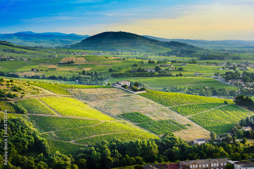 Brouilly hill and vineyards with morning lights in Beaujolais land, France