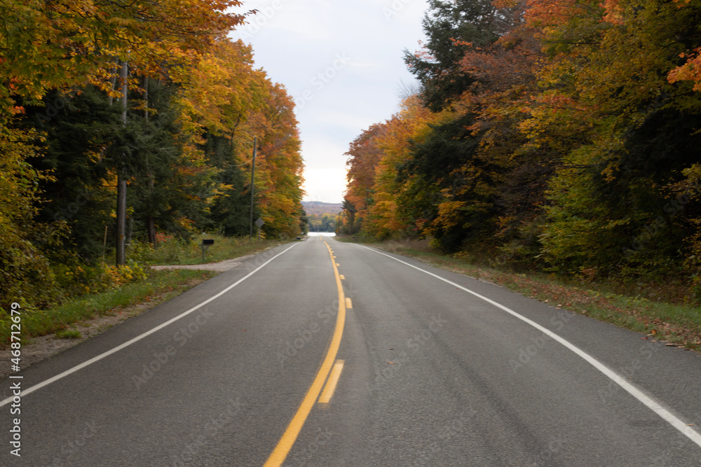 road in autumn road in autumn