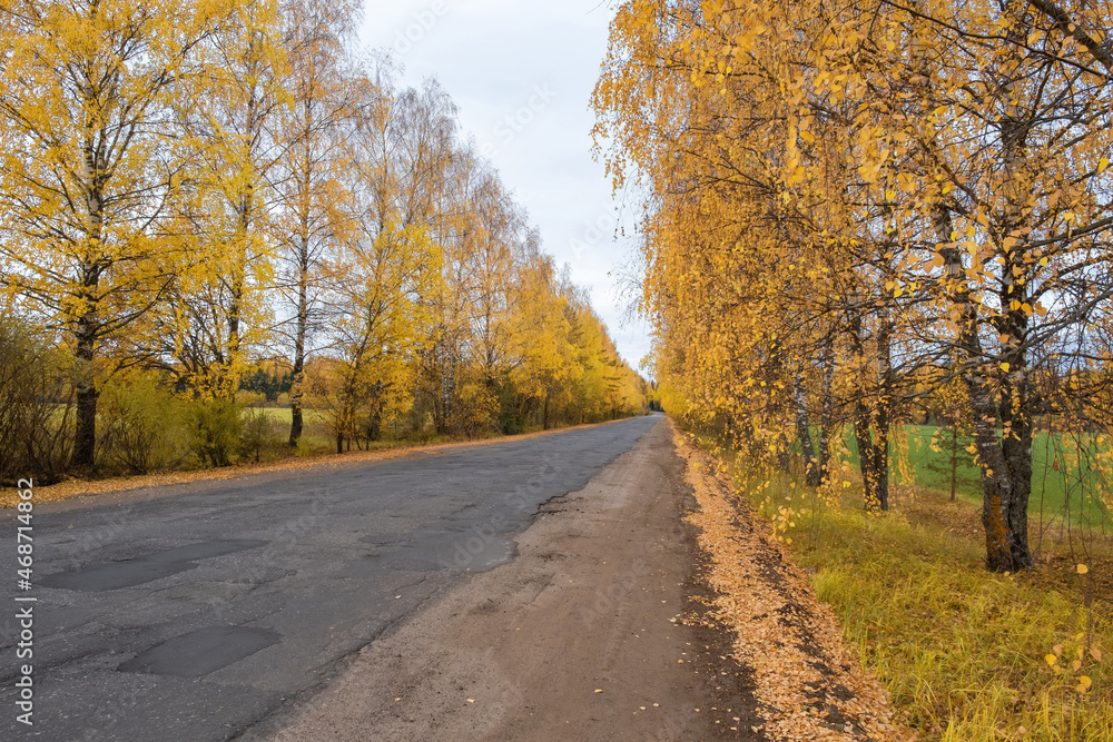 Obraz premium A deserted asphalt road among yellow trees on a cloudy autumn day.