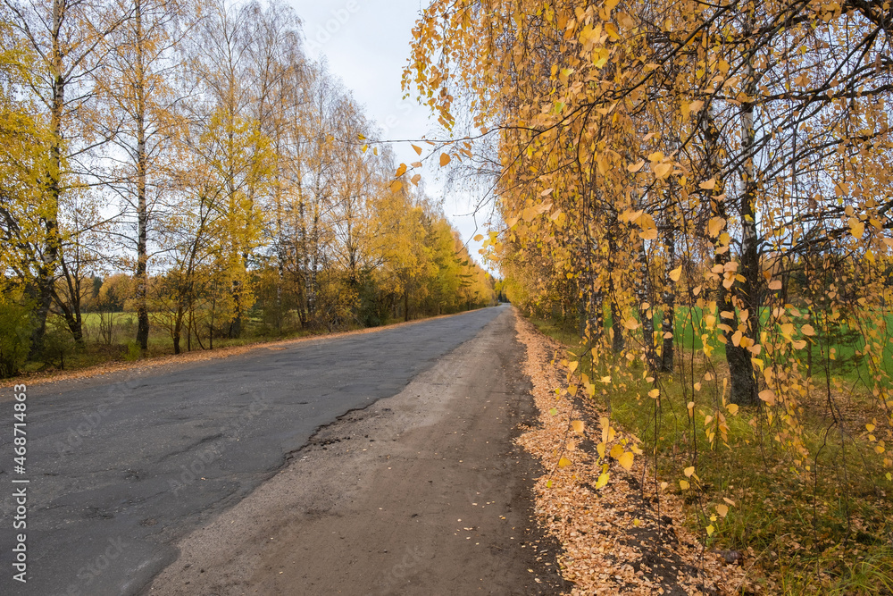 A deserted asphalt road among yellow trees on a cloudy autumn day. A deserted asphalt road among yellow trees on a cloudy autumn day.