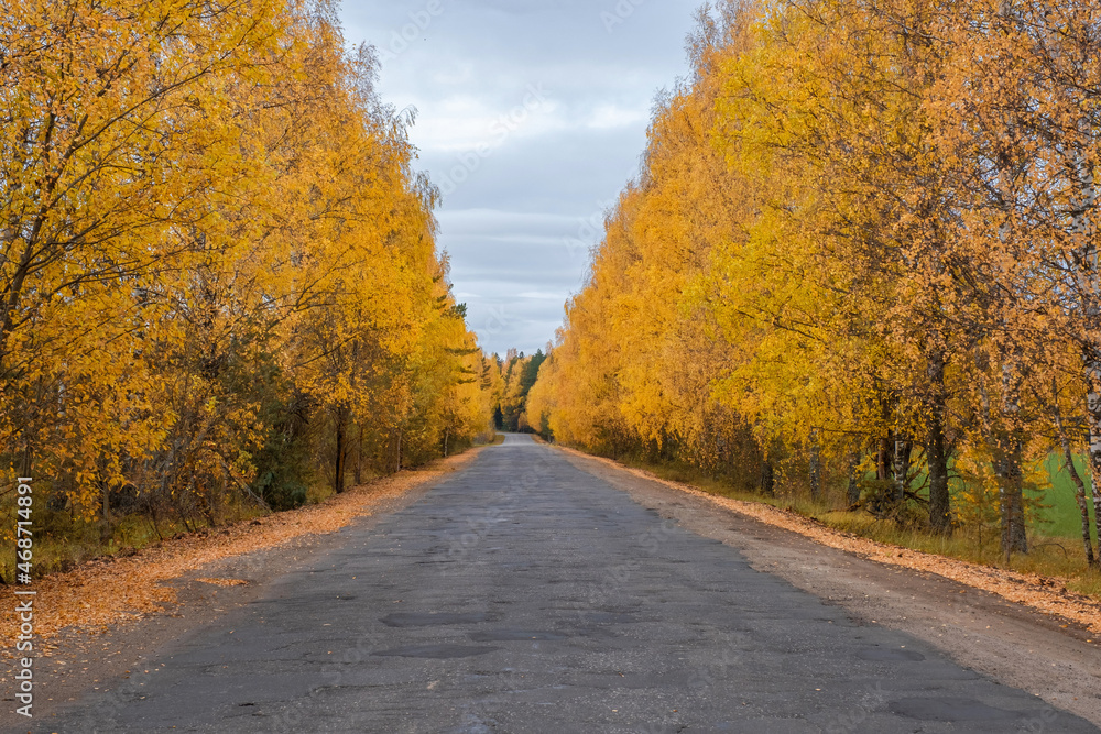 A deserted asphalt road among yellow trees on a cloudy autumn day.