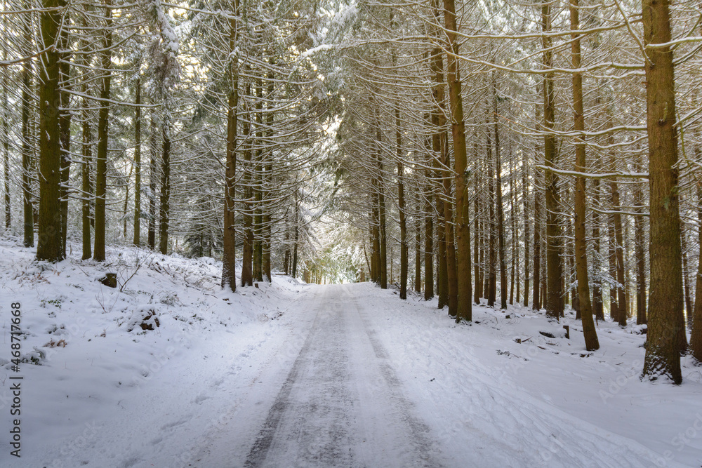 Snowed road in forest during winter Snowed road in forest during winter