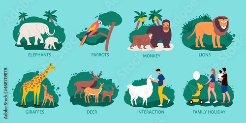 Zoo Design Concept