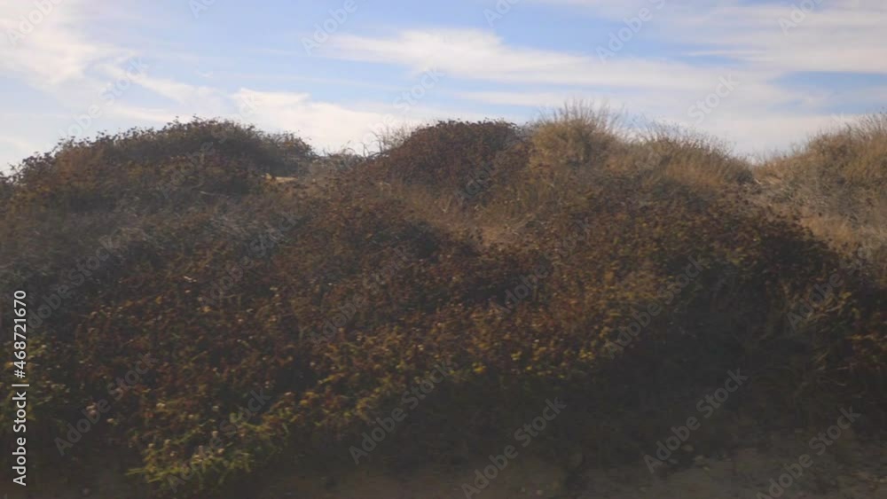Train POV on Californian landscape in slow motion 180fps Train POV on Californian landscape in slow motion 180fps