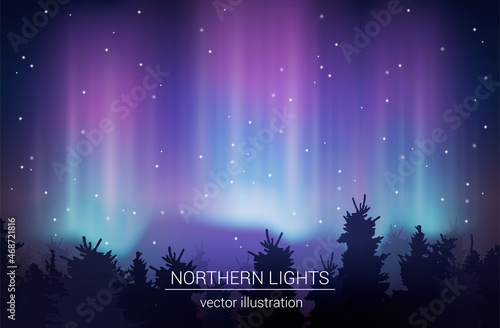 Arctic Borealis Realistic Vector Illustration