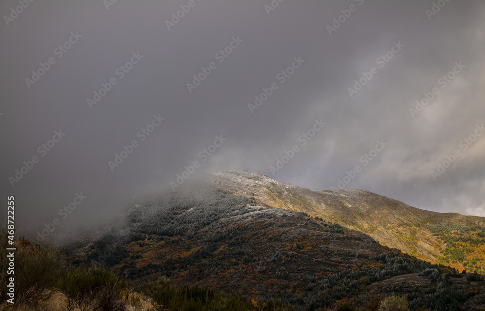 Landscape of beech forest on mountain with fog in autumn, with snow on top of mountain, in Tejera Negra, Cantalojas, Guadalajara, Spain
