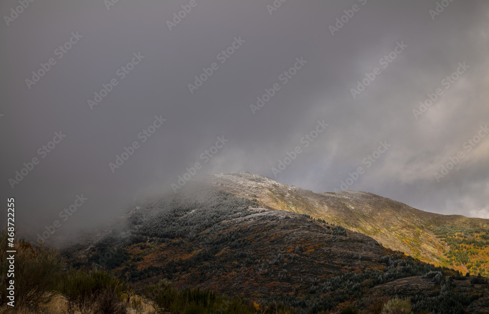 Landscape of beech forest on mountain with fog in autumn, with snow on top of mountain, in Tejera Negra, Cantalojas, Guadalajara, Spain Landscape of beech forest on mountain with fog in autumn, with snow on top of mountain, in Tejera Negra, Cantalojas, Guadalajara, Spain