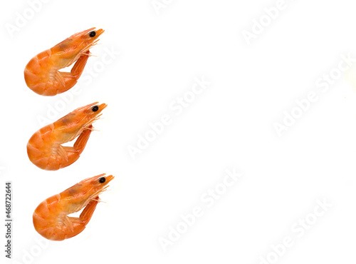 Shrimp isolated on white background copy space, place for text.