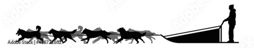 Dog sled silhouette on a white isolated vector background