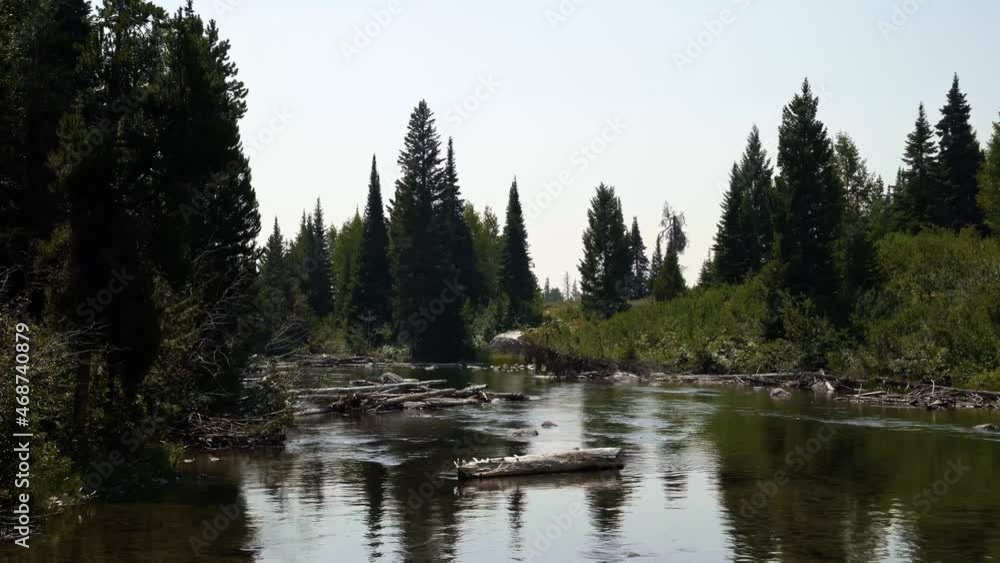 Beautiful landscape nature view of a small creek with logs and rocks inside and pine trees surrounding in the Grand Tetons National Park in Wyoming on a warm hazy summer day. Beautiful landscape nature view of a small creek with logs and rocks inside and pine trees surrounding in the Grand Tetons National Park in Wyoming on a warm hazy summer day.