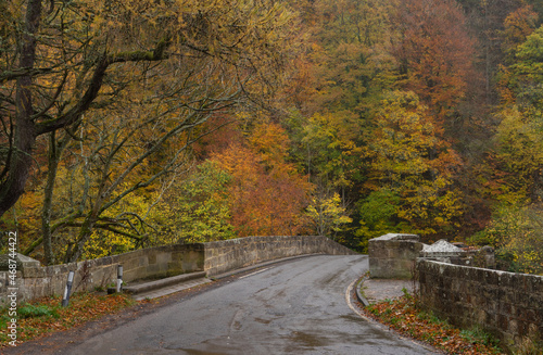 Cupola Bridge at Whitfield, Northumberland in autumn
