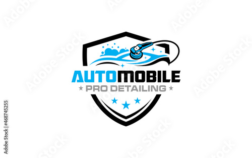 Illustration vector graphic of auto detailing servis logo design template-05