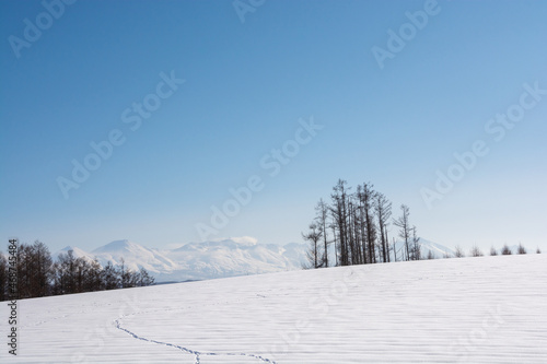 雪の丘と火山の山頂　十勝岳  © kinpouge