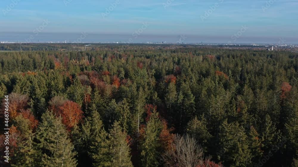Aerial view at the skyline of Munich behind a conifer forest in the autumnal season