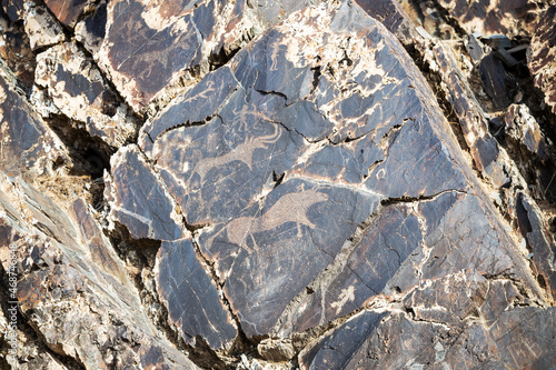 Petroglyphs in Uzbekistan photo