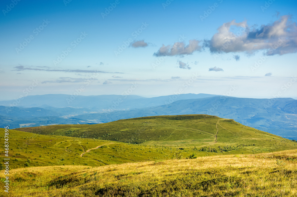 grassy mountain hills in evening light. beautiful scenery with clouds on the blue sky. wonderful nature background.