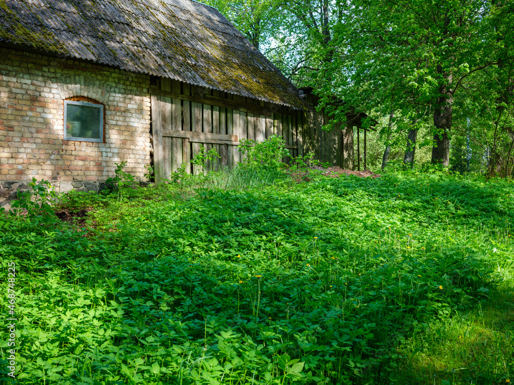 old countryside barn from wooden planks and concrete in rural area