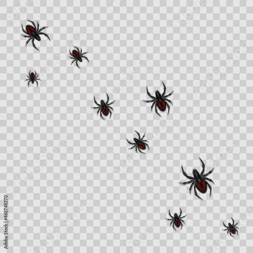 Vector spiders png