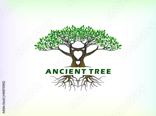 Tree and roots logo design vector isolated,  tree with round shape