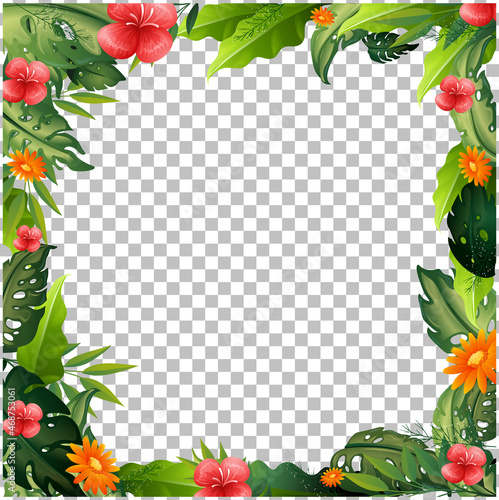 Nature plants frame transparent background