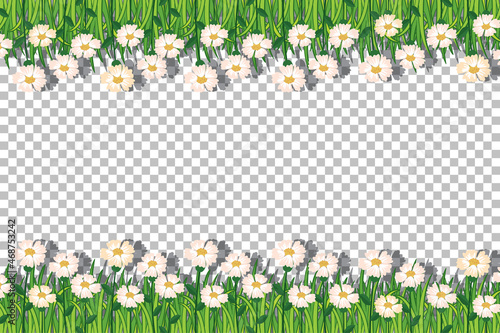 Nature plants frame transparent background
